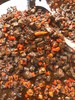 XLJ牛肉多多酱(松茸贝贝酱、酸菜牛肉酱) 商品缩略图3