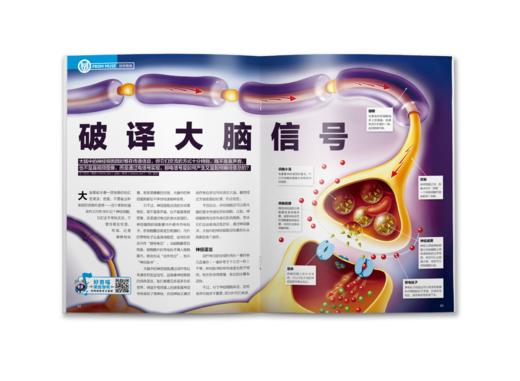 2024好奇号征订 2月份起订期刊 商品图2