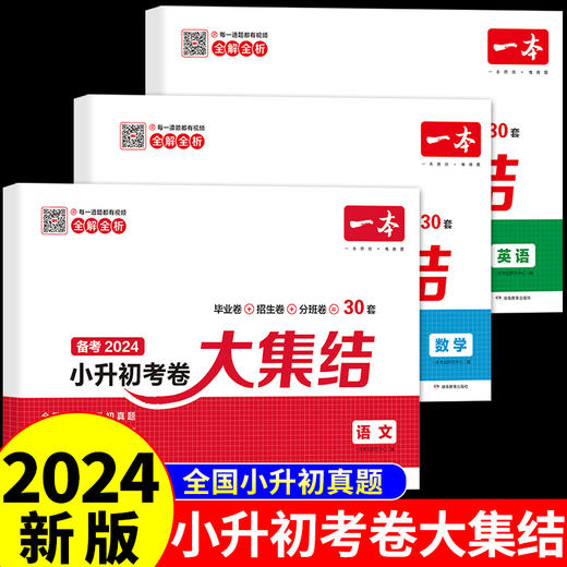 2024一本小升初真题卷语文数学英语必刷题人教版 全3册 商品图0