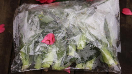 青菜心/老品种青菜心（400g）因季节原因，不用化肥的叶菜会略带苦味哦！ 商品图4