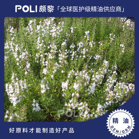 西班牙进口有机香芹酚百里香天然精油原料颇黎进口天然有机香芹酚百里香精油
