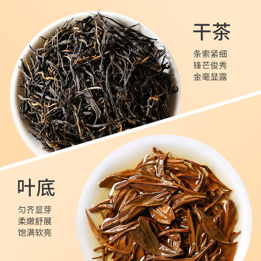 祥源茶丨历山晨晓 祁红金针 祁门红茶 特三级 100g 商品图1