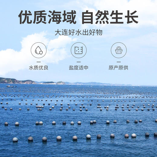 干裙带菜叶150g/袋装 商品图7