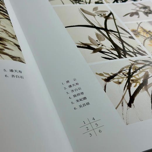 方楚雄教学示范 菊 商品图2