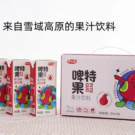 临夏伊珍源啤特果 250ML/盒*10盒装 全国包邮 商品图9