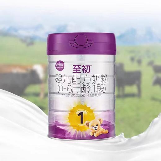 【国行版】A2至初白金1段900g（新国标新效期6罐装） 商品图1