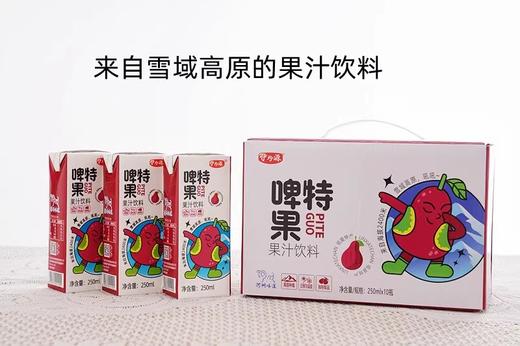 临夏伊珍源啤特果 250ML/盒*10盒装 全国包邮 商品图4