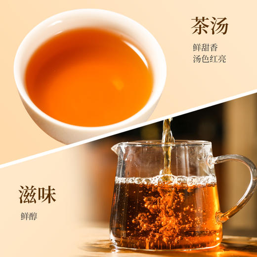 祥源茶丨标准样毛峰 祁门红茶 一级 50g 商品图2