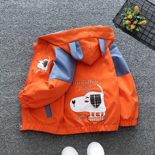 男童女童外套春秋款潮童装连帽上衣宝宝洋气女孩卡通夹克春秋衣服 商品图1