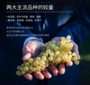 【世界遗产名录  酒庄5获奖项】弗拉尼甜白起泡葡萄酒 活力沁爽的开胃神器  9.5%vol 商品缩略图2