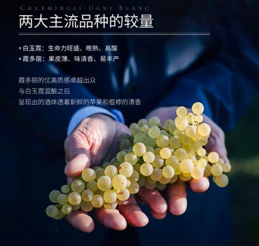 【世界遗产名录  酒庄5获奖项】弗拉尼甜白起泡葡萄酒 活力沁爽的开胃神器  9.5%vol 商品图2