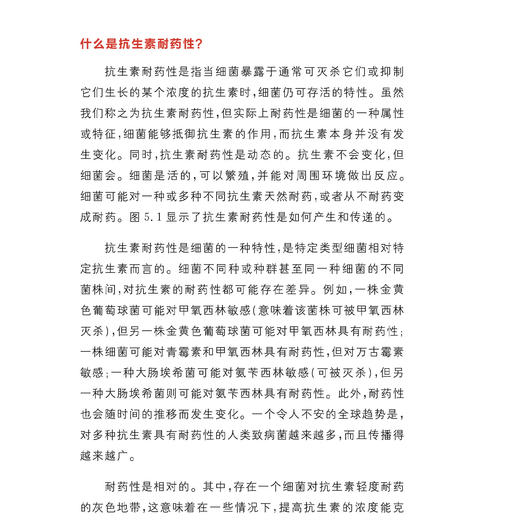 牛津科普系列：《抗生素》 商品图8