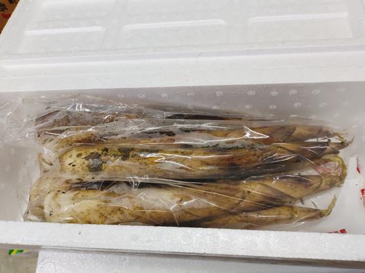 雷竹笋一箱 商品图1