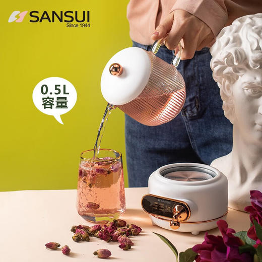 山水（SANSUI）养生壶煮茶器迷你办公室一人用电炖养生杯 0.5L白色KT-890 商品图1