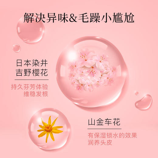 蓬派（CLAYNAL）洗发水滋润呵护樱花香氛洗头膏450ml   （1125） 商品图4