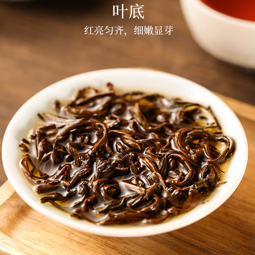 祥源茶丨明月松间 祁红香螺 祁门红茶 特级 150g 商品图5