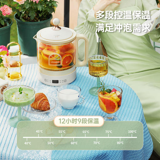 【七彩叮当YSH03养生壶】熬煮不糊底 滋养更便捷 商品图2