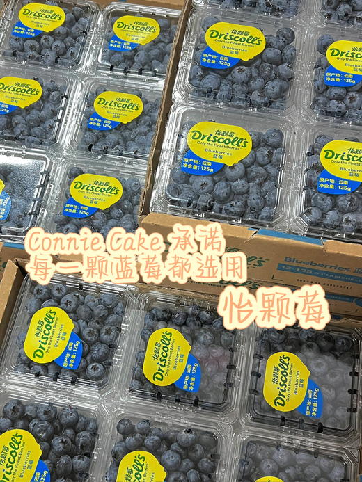 满口蓝莓 商品图4