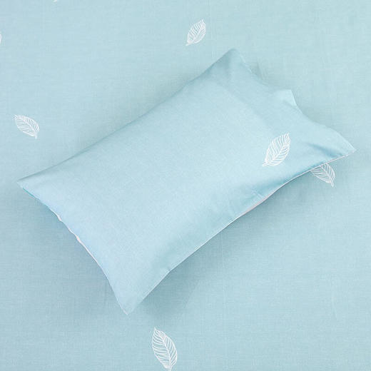 罗莱全棉四件套单双人阿拉木图春华秋实北约时光城市冬日暖阳暗香疏影 蒂凡尼 220*250cm 商品图6