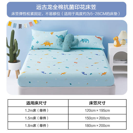 水星家纺远古龙全棉抗菌印花床笠 远古龙全棉抗菌印花床笠  商品图0