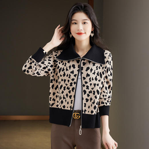 春款宽松休闲外搭时尚大翻领拉链针织开衫CC-XX-3886 商品图2