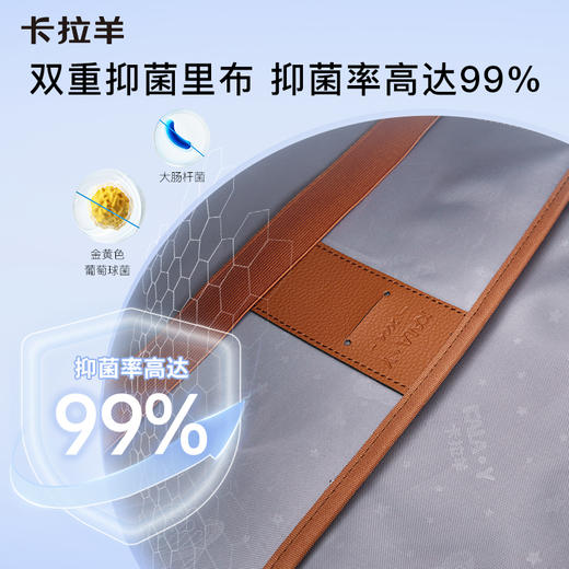 【云朵书包2.0PLUS版】卡拉羊六维防下坠小学生3-6年级20L云朵书包   万物生 CX2678 商品图5