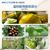 DHC橄榄油敏感肌专用唇膏【无色无味】 商品缩略图3