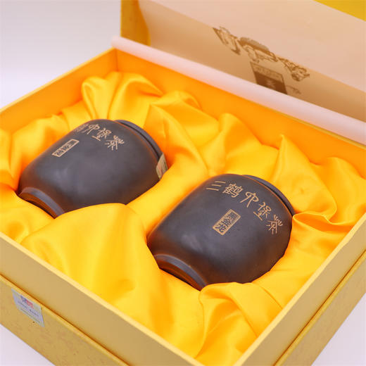 2022年三鹤六堡茶黑金龙120g*2罐 商品图2