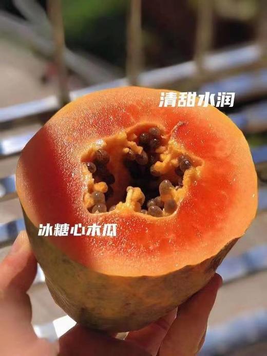 【社区团购】【冰糖心木瓜】4斤/箱3-4颗装 商品图5
