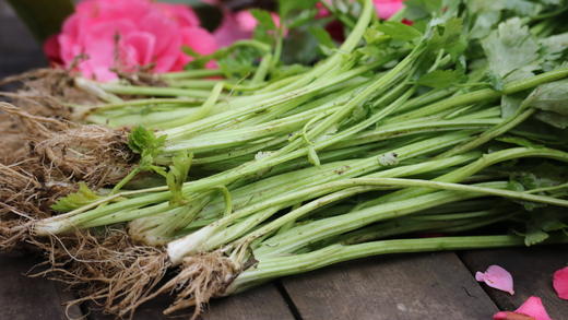 芹菜（400g）【老品种芹菜】因季节原因，不用化肥的叶菜会略带苦味哦！ 商品图2