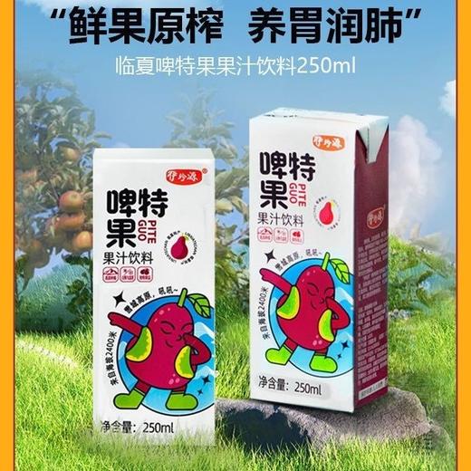 临夏伊珍源啤特果 250ML/盒*10盒装 全国包邮 商品图11