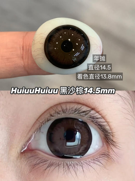 【大直径】Laseecon-起司灰/起司棕/雾灰/黑沙棕-混血大直径合集-14.5mm【年抛 0-800度 无525/575 】 商品图3