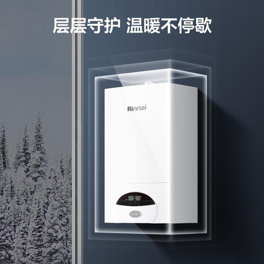 林内/壁挂炉/RBS-24C30(L) 商品图4