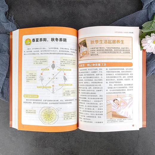 图解《黄帝内经》24节气顺时调养全书 商品图3