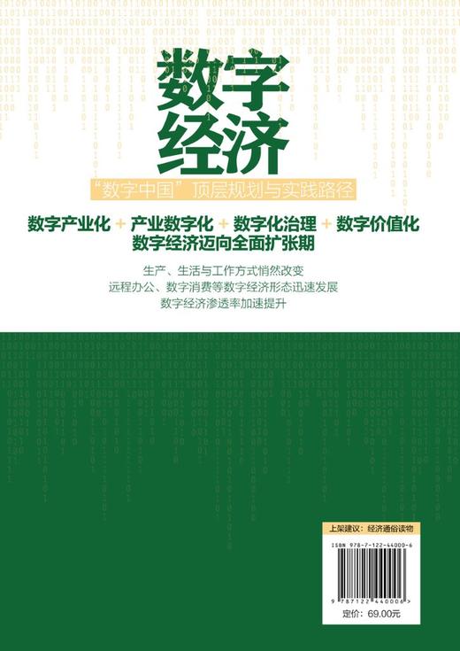 数字经济：“数字中国”顶层规划与实践路径 商品图1