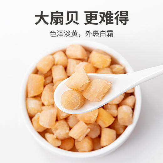 七星严选扇贝 大粒淡干干贝228g 商品图6