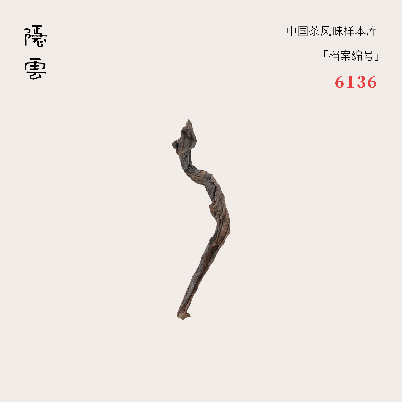 卧游｜ 2012年水仙