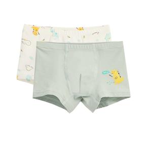 丽婴房-内衣类（常年）G3内裤2入男