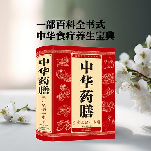 中华药膳养生治病一本通 商品图0