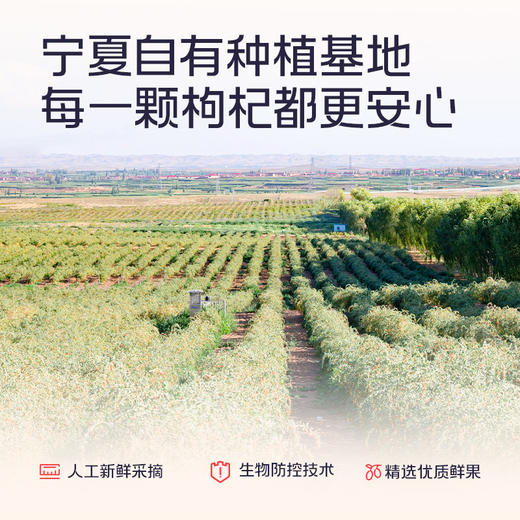 1800ml果小凡红枸杞原浆礼盒 商品图2