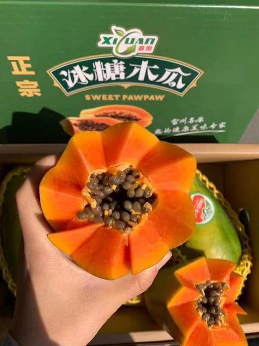 【社区团购】【冰糖心木瓜】4斤/箱3-4颗装 商品图1