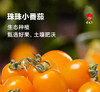 【顺丰发货】爆汁珠珠小番茄1.5斤装起福建漳州小西红柿酸甜清脆 商品缩略图0