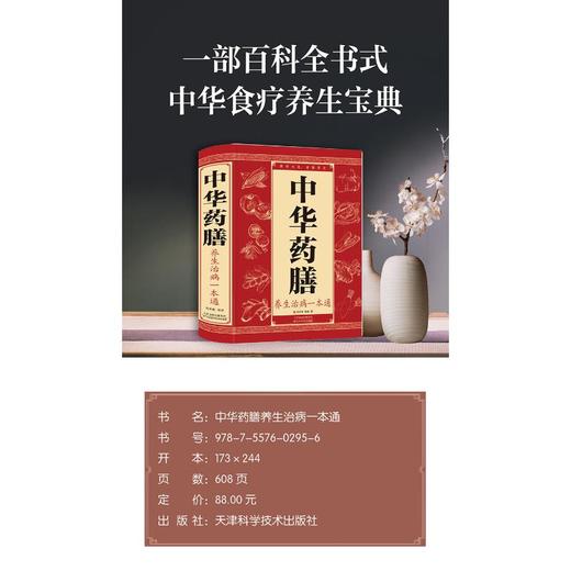 中华药膳养生治病一本通 商品图1