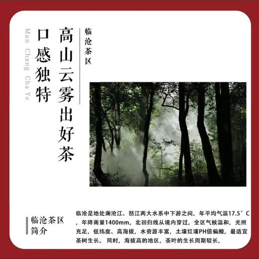 昔归龙珠普洱8g*10 商品图3