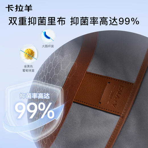 【云朵书包2.0PLUS版】卡拉羊六维防下坠小学生3-6年级20L云朵书包 春日 CX2677 商品图5