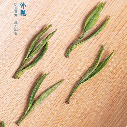 2024中茶安吉白茶100g木盒绿茶中粮出品 商品图2