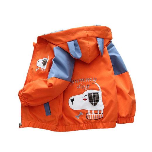 男童女童外套春秋款潮童装连帽上衣宝宝洋气女孩卡通夹克春秋衣服 商品图4