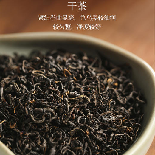 祥源茶丨明月松间 祁红香螺 祁门红茶 特级 150g 商品图2