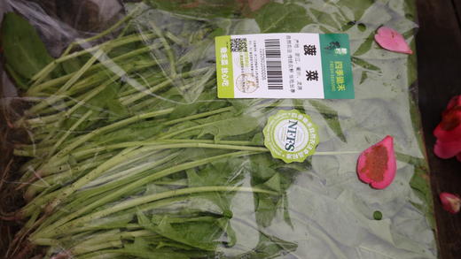 菠菜/老品种菠菜（400g）因季节原因，不用化肥的叶菜会略带苦味哦！ 商品图3