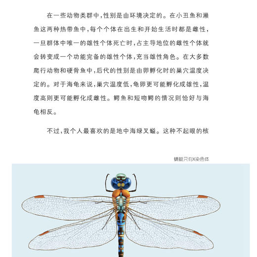 牛津科普系列：《进化》 商品图8